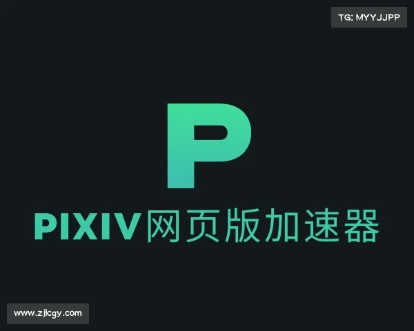 了解pixiv网页版加速器